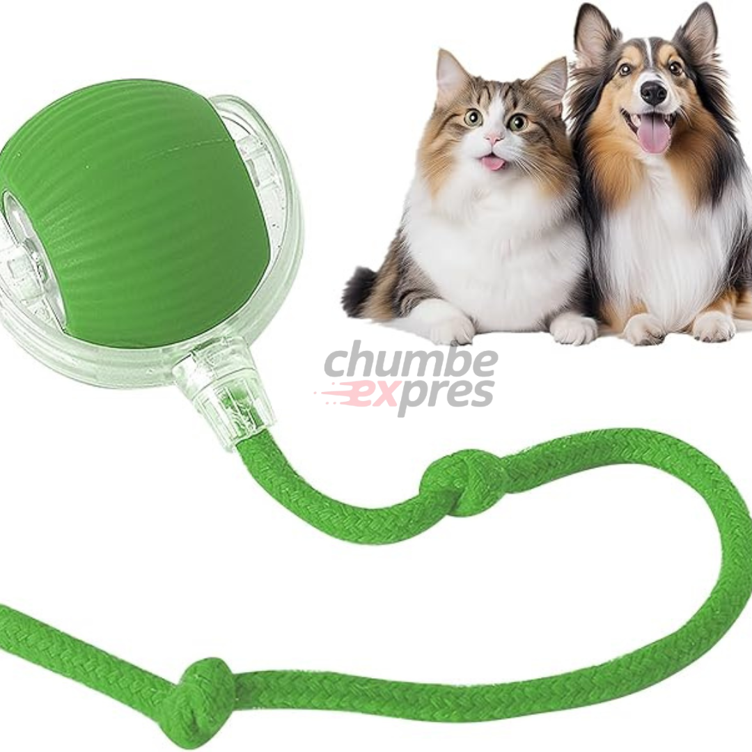 BOLA INTERACTIVA INTELIGENTE PARA PERROS Y GATOS