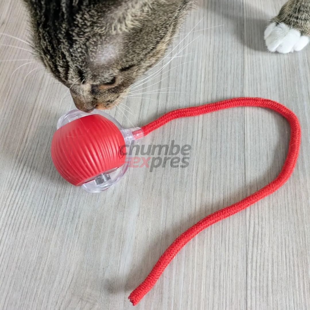 BOLA INTERACTIVA INTELIGENTE PARA PERROS Y GATOS