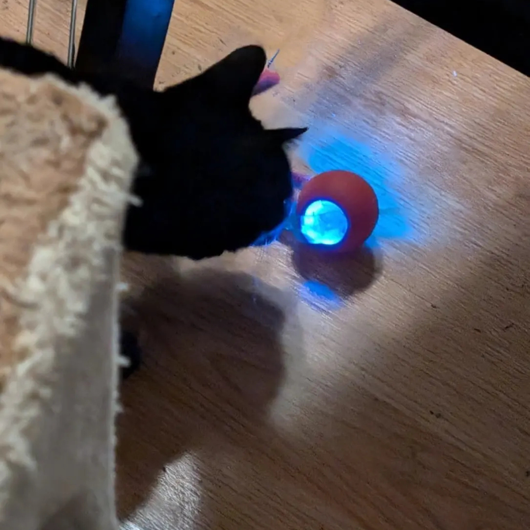 BOLA INTERACTIVA INTELIGENTE PARA PERROS Y GATOS